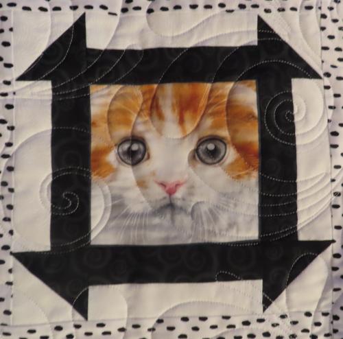 22011401 Front Detail2