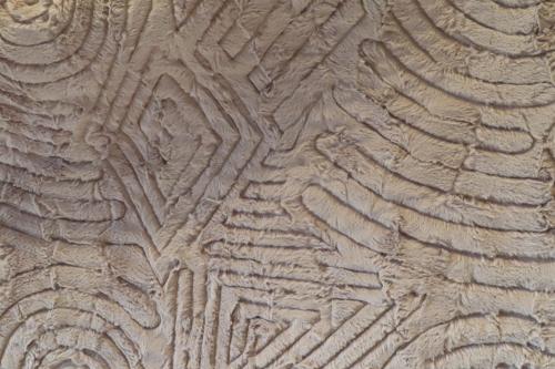 22012201 Back Detail