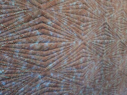 22041001 Back Detail1