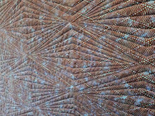 22041001 Back Detail2