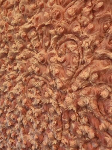 22042001 Back Detail