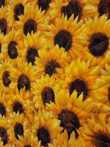 22050701 Back Detail