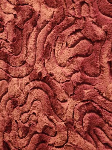 22080701 Back Detail