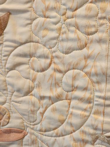 23051601 Front Detail1