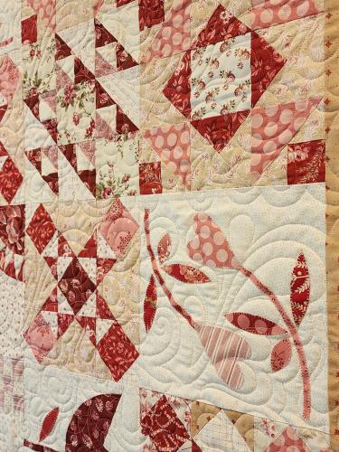 24030701 Front Detail1