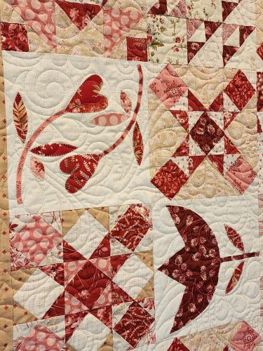 24030701 Front Detail2