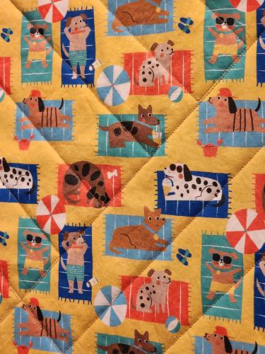 24042701 Back Detail