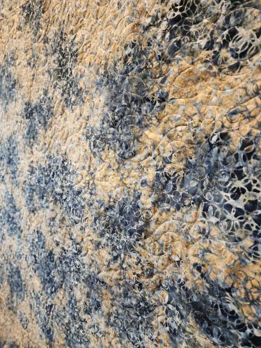 24050202 Back Detail