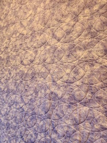 24060702 Back Detail