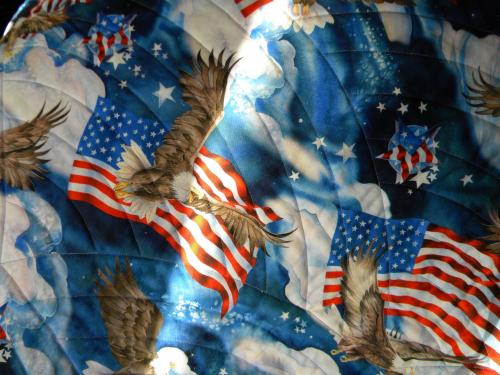 Flag Lone Star Back Detail