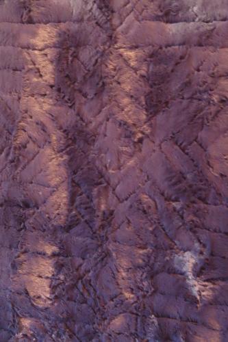 Phoenix Throw Back Detail